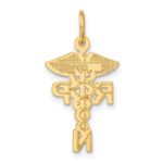 10k Registered Nurse Practitioner Charm - Image 4