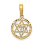 10K Star Of David And Chai In Circle Pendant