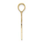 10k Registered Nurse Charm - Image 2