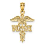 10k Diamond-cut Polished RN Nurse Pendant - Image 4