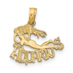 10K AQUARIUS Zodiac Charm