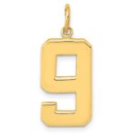 10k Large Polished Number 9 Charm