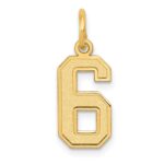 10k Small Satin Number 6 Charm