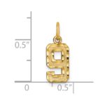 10ky Casted Small Diamond-cut Number 9 Charm - Image 3