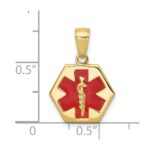 10K Enameled Medical Disk Pendant - Image 3