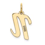 10K Medium Script Letter N Initial Charm - Image 3