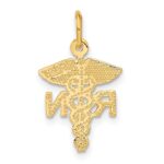 10k Nurse Charm - Image 4