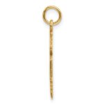 14k Large M.D. Caduceus Charm - Image 2