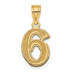 14k Polished Etched Number 6 Pendant