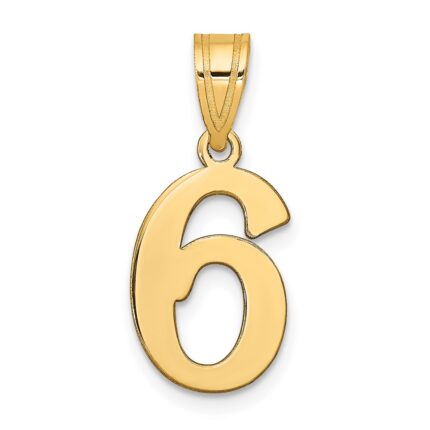 14k Polished Number 6 Pendant