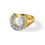 14k Two-tone IBGoodman Men's Satin Horseshoe 1/5 carat Diamond Complete Ring - Image 9