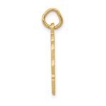 14k RN Registered Nurse Textured Back Disc Charm - Image 2