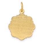 14k RN Registered Nurse Textured Back Disc Charm - Image 3