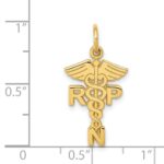 14k RNP Registered Nurse Practitioner Charm - Image 4