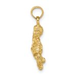 14k 3-D Aquarius Zodiac Charm - Image 2