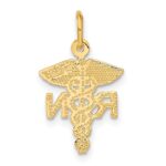 14k RN Registered Nurse Charm - Image 3