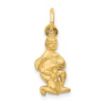 14k Satin Diamond-cut Aquarius Zodiac Charm