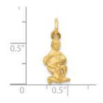 14k Satin Diamond-cut Aquarius Zodiac Charm - Image 4