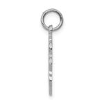 14k White Gold RN Registered Nurse Textured Back Disc Charm - Image 2