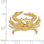 14k Large Blue Crab Omega Slide - Image 4