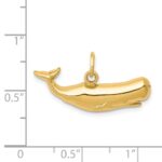 14k Sperm Whale Charm - Image 3