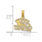 14K 100% CAPRICORN Zodiac Charm - Image 3