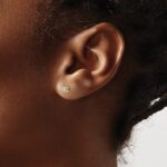 14k 1/4 carat Lab Grown Diamond VS/SI+ G+ Princess Complete Four Prong Stud Earrings - Image 3