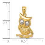 14k and White Rhodium Polished and Textured Owl Pendant - Image 4