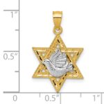 14k Two-tone Textured Dove On Star Of David Pendant - Image 4