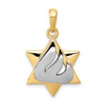 14k Two-tone Star of David with Shin Symbol Pendant