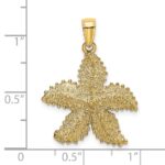 14K Textured Starfish Charm - Image 3