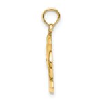 14K 2-D CURACAO Under Polished Dolphin Charm - Image 2