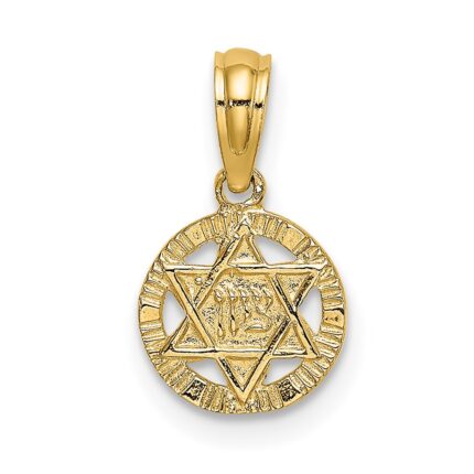 14K Textured Star Of David in Circle Charm