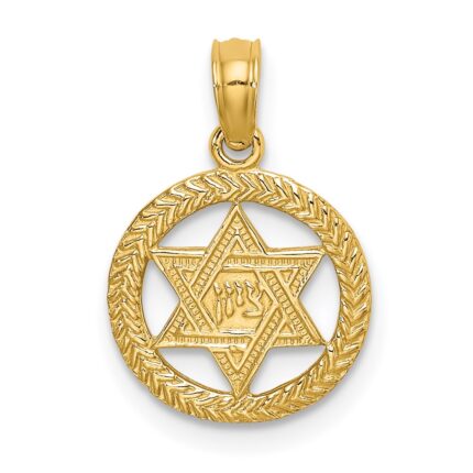 14K Textured Star Of David In Circle Charm