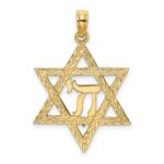 14K Textured Star of David with Chai Center Charm