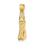 14K 3-D Polished MARCO ISLAND Cat Charm - Image 5