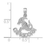 14k White Gold CAPRICORN Zodiac Charm - Image 2