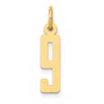 14k Small Elongated Number 9 Charm