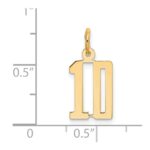 14k Small Elongated Number 10 Charm - Image 4
