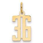 14k Small Elongated Number 36 Charm