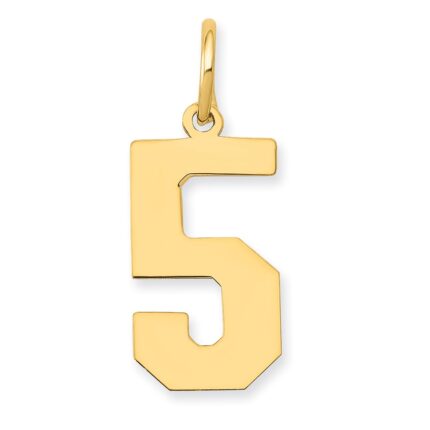14k Medium Polished Number 5 Charm