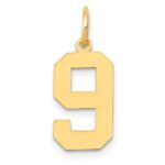 14k Medium Polished Number 9 Charm