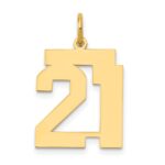 14k Medium Polished Number 21 Charm