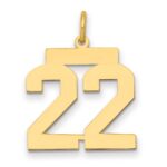 14k Medium Polished Number 22 Charm