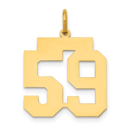 14k Medium Polished Number 59 Charm