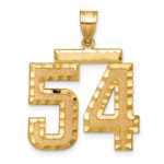 14k Large Brushed Diamond-cut Number 54 Charm