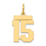 14k Small Polished Number 15 Charm