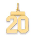 14k Small Polished Number 20 Charm