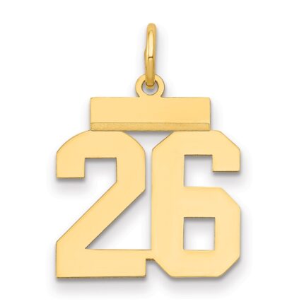 14k Small Polished Number 26 Charm