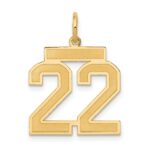 14k Medium Satin Number 22 Charm